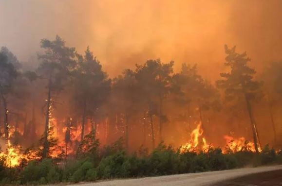Antalya için çok önemli uyarı: Mangal yakmayın!